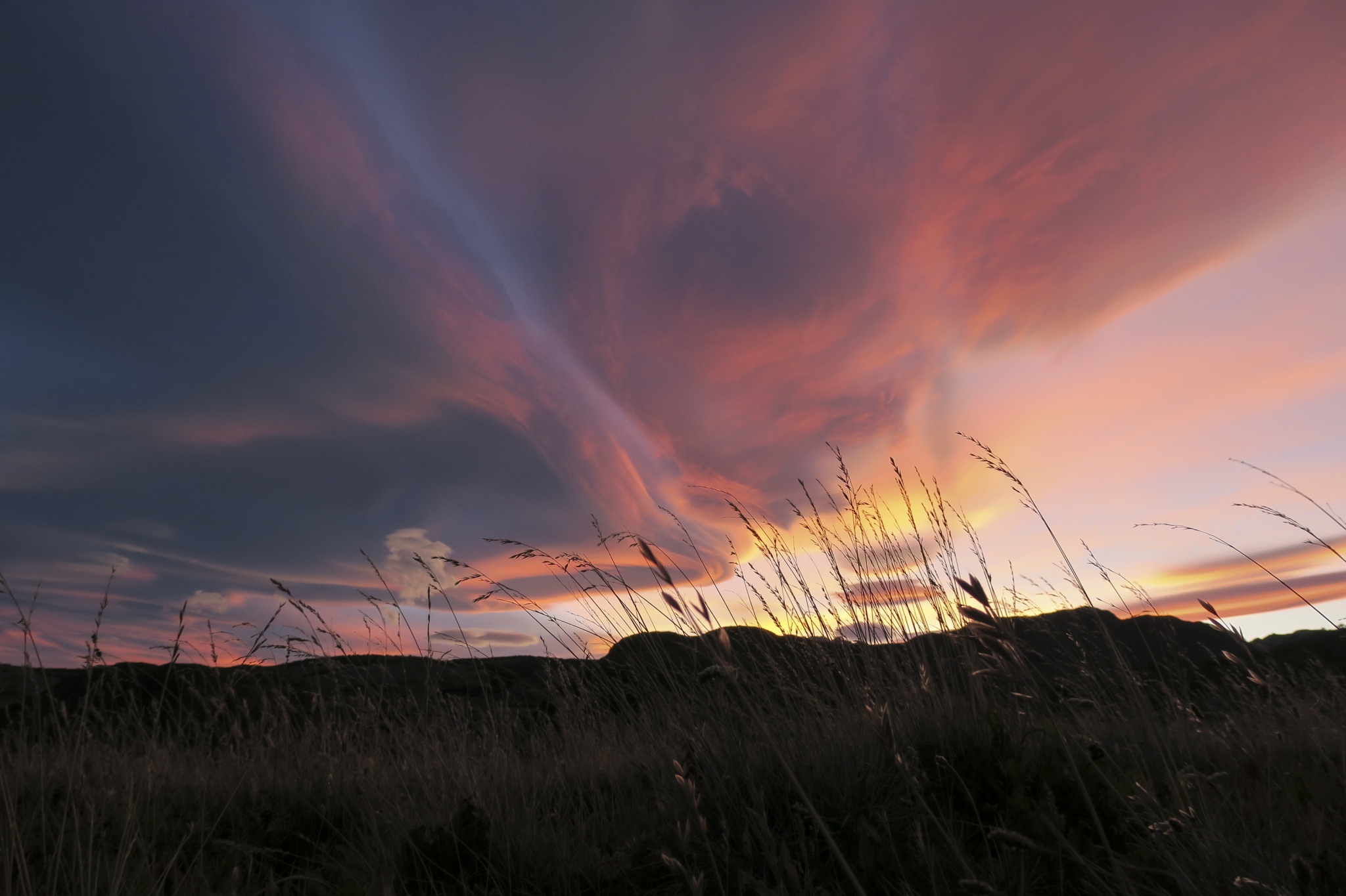 A pink and blue sunset with tall scattered wheat grass flowing in the wind